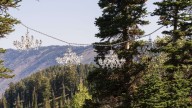 Utah resort expands its art collection into a museum you can ski through