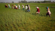 Better food, fairer trade