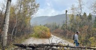 Suspected tornado traps hikers in Teton Canyon as the federal shutdown delays helping hands