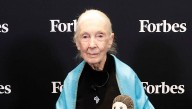 Who Is Jane Goodall? 5 Facts About the Advocate, Her Movies & More