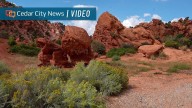 Cedar City's Thunderbird Gardens at crossroads as partners reassess roles