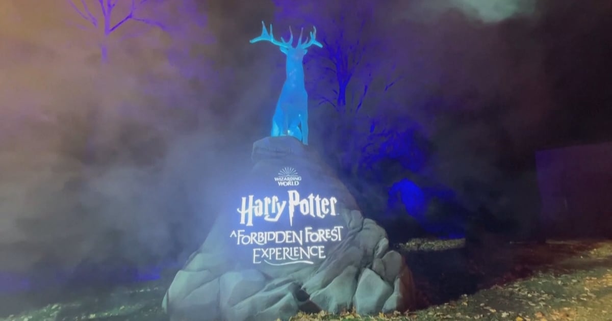 Harry Potter event should have had public vote: Vancouver commissioner