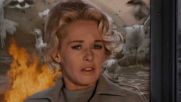 The Birds is an even more terrifying Hitchcock film than Psycho