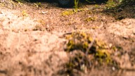 The Best Method For Preparing Your John Deere Mower For The Winter Season