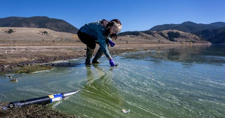 New Mexico Environment Department increases monitoring of blue