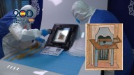 El Picasso perdido es hallado en Madrid: la Policía sospecha que nunca salió de la ciudad