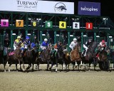 Synthetic Championships, record overnight purses highlight Turfway Park Holiday Meet starting Dec. 3
