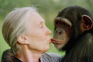 Murió Jane Goodall, reconocida primatóloga, a los 91 años
