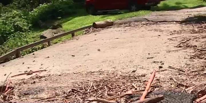 More than $118.2 million secured to purchase properties that were damaged in flooding