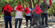 Recolectores de tomate logran mejoras laborales en California pese a redadas migratorias
