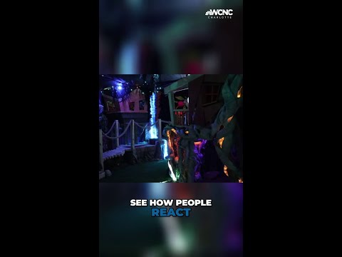Immersive art exhibit open in Charlotte