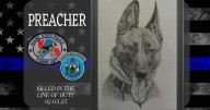 Sagadahoc County Sheriff's Sergeant memorializes police K9's with special sketches