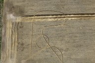 Misterio por la aparición de extrañas figuras en campos sembrados con trigo de Avellaneda