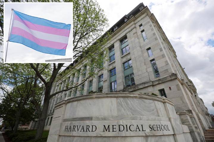Harvard scraps $650 transgender health course after legal pushback