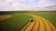 From fields to fridges: How the government shutdown is impacting farmers across America