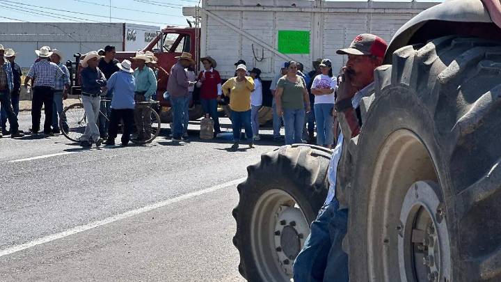 Campesinos de Guanajuato logran precio de garantía completo para el sorgo