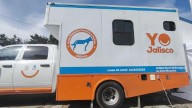 Arranca en Jalisco campaña gratuita de esterilización y vacunación para mascotas en octubre