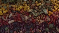 Visitamos la feria Madrid Fruit Attraction 2025