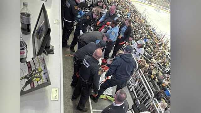 Fan falls from stands at PPG Paints Arena during Penguins