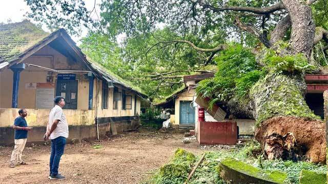 Kundapur: Giant tree uprooted with roots, damages post office building