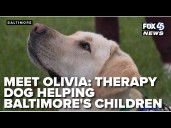Meet Olivia: GBMC's therapy dog helping Baltimore’s children heal