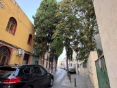 Un vecino de La Magdalena pide que se intervenga en tres árboles por riesgo de derrumbe