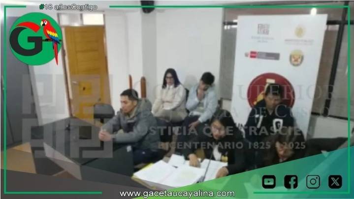 Chofer causa grave accidente y recibe prisión preventiva en el Cusco