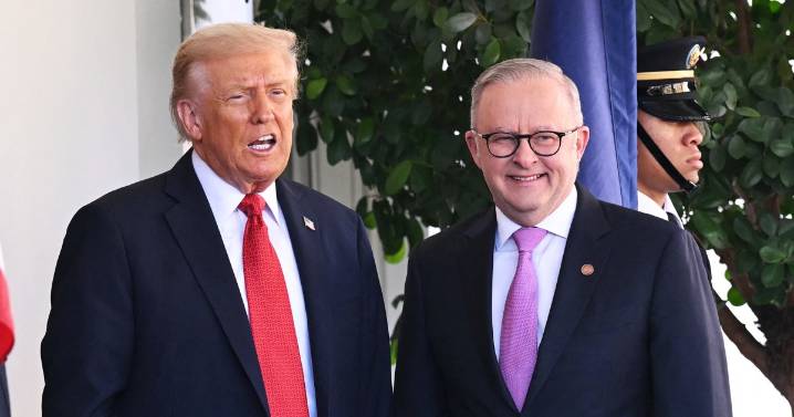 Trump meets with Albanese as Australia hopes critical minerals help AUKUS submarine deal