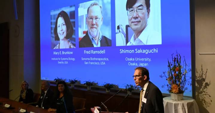 El Nobel de Medicina premia a tres científicos por avances en el sistema inmunológico
