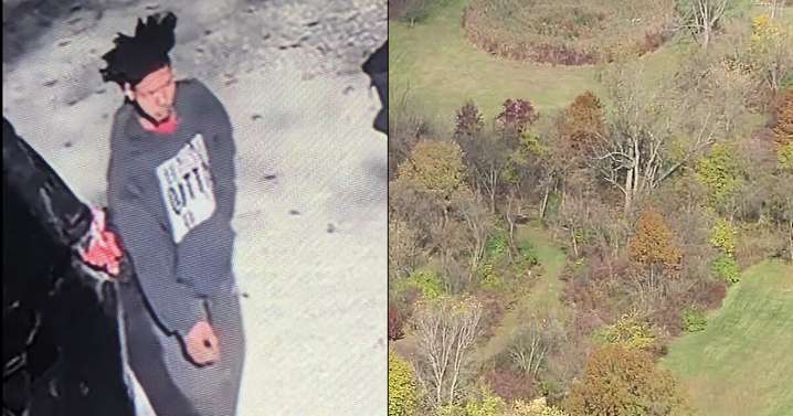 Police search wooded area in Huron Township for suspect wanted on multiple felonies