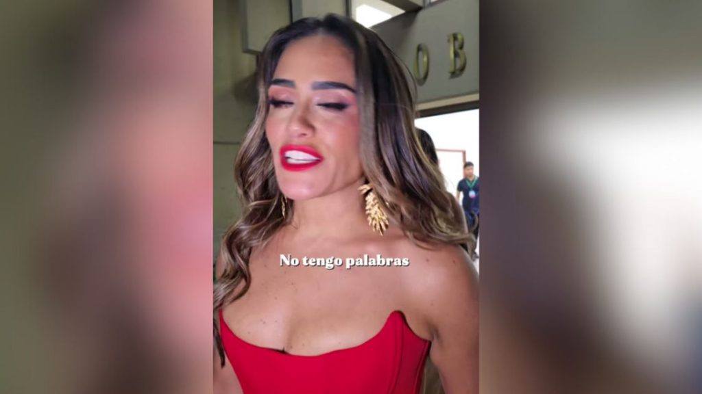 Confía Alessandra Rojo de la Vega la videovigilancia a empresa incumplida que benefició con casi 13 MDP