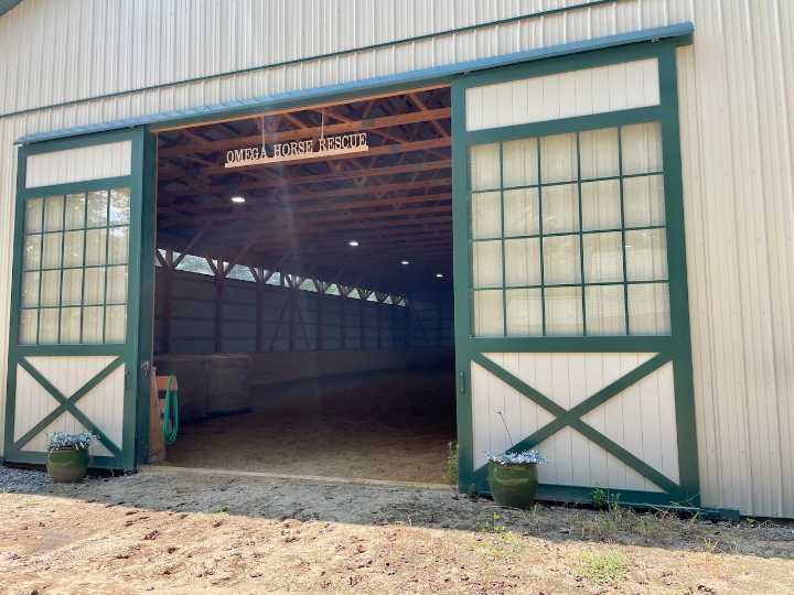 Pennsylvania must act now to save horses from slaughter