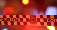 Man arrested as police respond to shots from unit