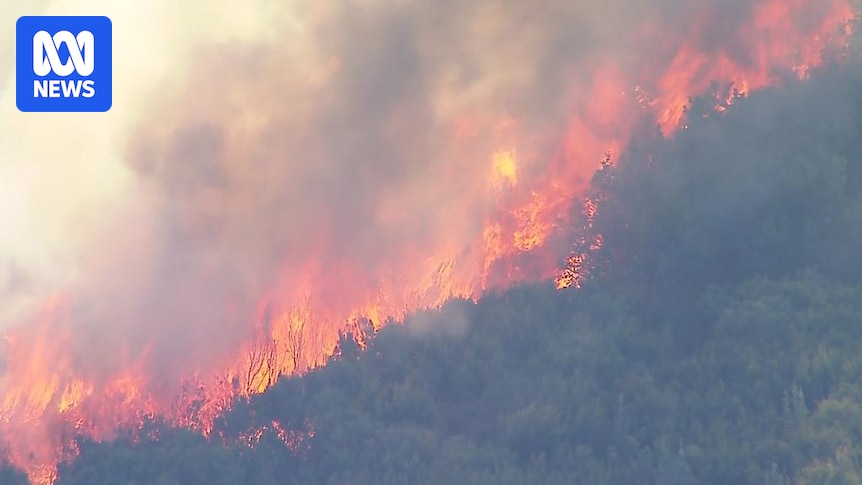 Bushfire on Moreton Island, north of Brisbane, burns 2,300 hectares before being contained