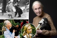 Jane Goodall, renowned anthropologist and conservationist, dead at 91