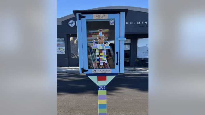 Family of 4-year-old boy killed in Burlingame crash honor him with free 'little library'