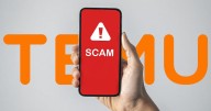 ‘Estafa del falso Temu’: Así funciona el fraude que roba datos financieros simulando ser la app china