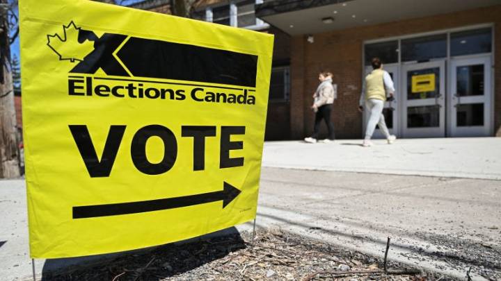 A blunder meant this voter’s ballot wasn’t counted – then her pick lost by one vote. Now the case is in court