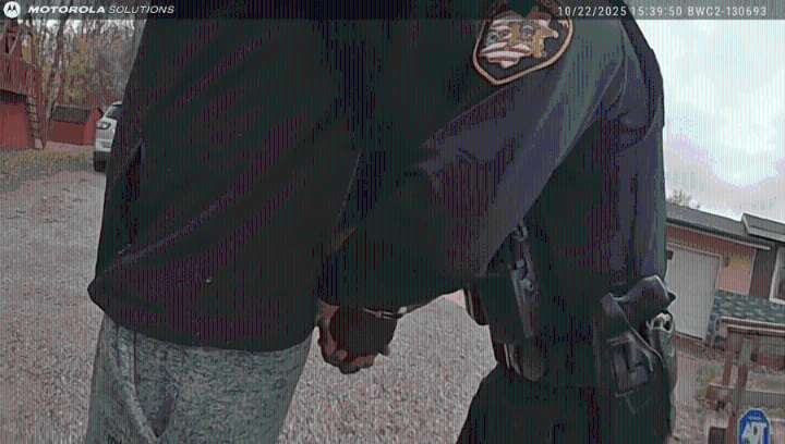 Bodycam video: Local man charged with kidnapping 3