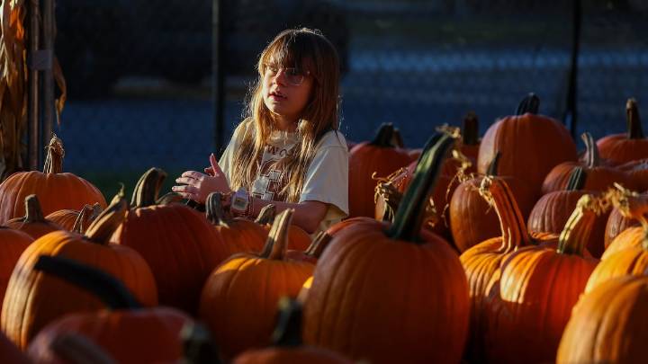 Is Tampa Bay in for a cold Halloween? Here’s what to expect