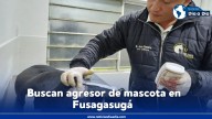 Continúa búsqueda de motociclista que atacó e hirió mascota en Fusagasugá