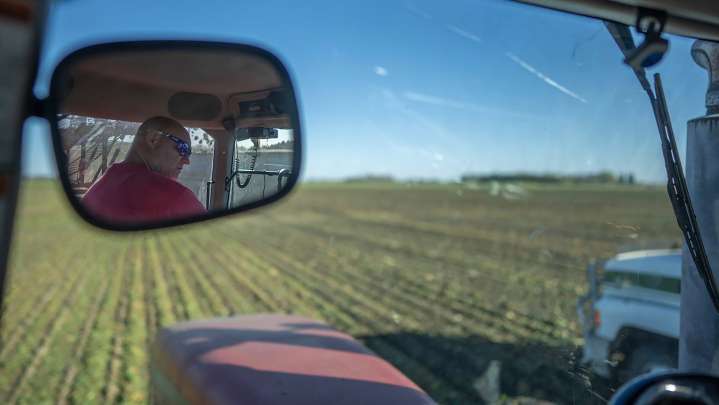 MAHA is tricky for sugar beet country as ideals, livelihoods clash