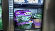 Feeding Tampa Bay prepares to help more people during government shutdown