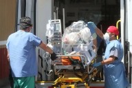 Covid-19 podría provocar ansiedad hereditaria, según estudio en ratones