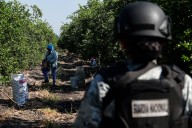 Muerte, amenazas y terror para los agricultores de Michoacán: el precio de denunciar la extorsión