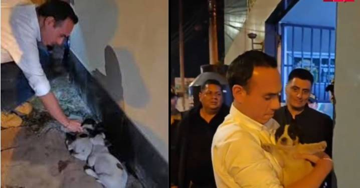 Presidente José Jerí rescata a cachorritas abandonadas y las llevará a Palacio de Gobierno