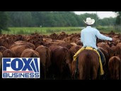 Tomi Lahren: Here’s how we can protect US ranchers