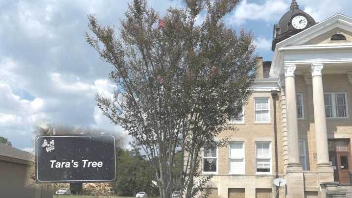 Twenty years after her death, Tara Grinstead's memory still impacts Ocilla