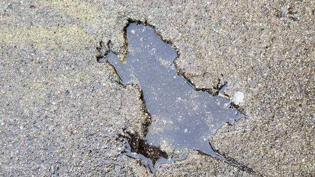 The 'Chicago rat hole' sparked internet fervor in 2024. Now, scientists have found the culprit