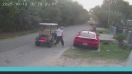 Texas man's dogs fatally maul him; neighbor describes ordeal